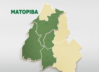 Matopiba faz grupo de trabalho por Código Florestal