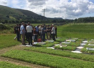 Em parceria UEMA e Reino Unido estudam melhoria na agricultura