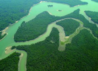 Eleitores do Amazonas não podem ser presos a partir desta terça-feira
