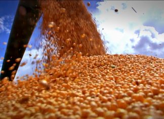Demanda por crédito rural tem aumento de 23,2%