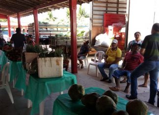 Prefeitura inicia programa da merenda escolar com pequenos produtores locais