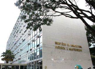 Ministério da Agricultura anuncia concurso; salários chegam a R$ 14 mil