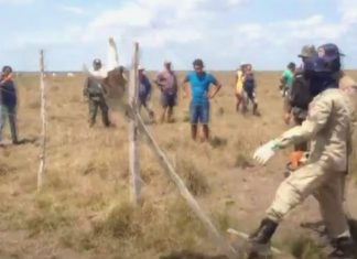 Operação retira cercas irregulares de áreas de proteção ambiental em Anajatuba/MA