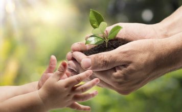 MA vai receber 400 mil dólares para projetos em sustentabilidade