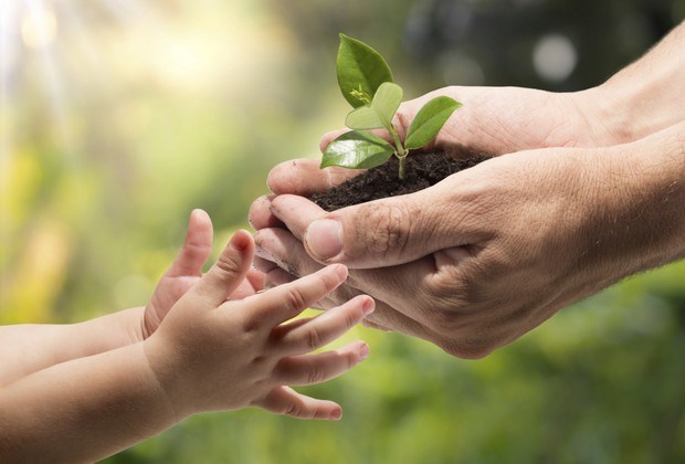 sustentabilidade