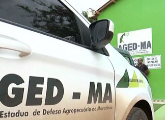 Aged/MA lança concurso público com 100 vagas