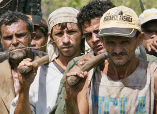 União tem até o dia 27 para atualizar lista suja do trabalho escravo