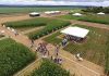 Nova linha de fertilizantes biológicos é apresentada em evento com produtores de grãos