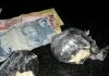PM de Balsas prende traficante com 100 gr. de crack que iria vender no Estreito