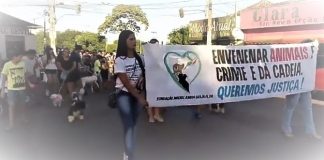 1º Cãocurso Miss Pet 2018, acontecerá dia 13, em Balsas