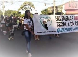 1º Cãocurso Miss Pet 2018, acontecerá dia 13, em Balsas