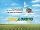 Faltam poucos dias para o Agroloreto. Organização a pleno vapor.