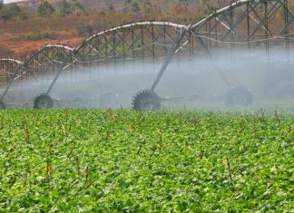 Câmara aprova medida provisória que facilita crédito a projetos de irrigação, inclusive as bacias hidrográficas do Maranhão