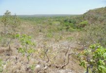 Brasileiro quer ficar mais perto da natureza, mas acha que ela não está sendo protegida como deveria, diz pesquisa.