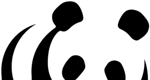 Porcos da Amazônia são tema de novo vídeo da série Moradores da Floresta