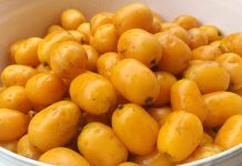 Cajá: fruta de época, cheiro tentador e rica em vitaminas