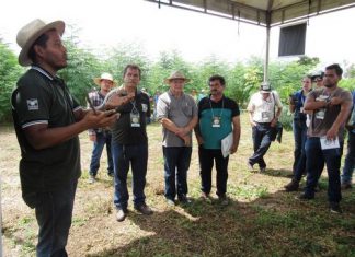 Sistema Faema/Senar e parceiros promovem Dia de Campo em Fortuna