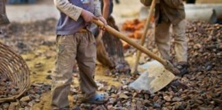 Instituições emitem nota conjunta para alertar sobre os riscos do trabalho infantil