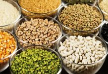 Produção recorde de grãos estimada em 241,3 milhões de toneladas no 11º levantamento