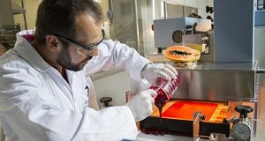 Pontes para Inovação abre inscrições para startups do agro