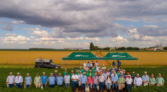 Dias de Campo da SLC Sementes apresentam novas cultivares e técnicas de produção