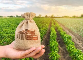 Empresas do agro projetam recuperação econômica para 2021, aponta Deloitte