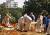 Brasil tem 9º dia com média de mortes acima de 2,5 mil óbitos