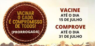 AGED/MA prorroga prazo de vacinação contra febre aftosa