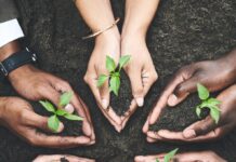 Alcoa lança Relatório de Performance Ambiental, Social e Governança do ano de 2020