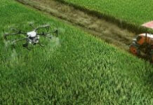 Agricultura com tecnologia contribuem pro crescimento do PIB brasileiro em plena pandemia