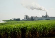 Senado aprova MP que autoriza a venda direta de etanol aos postos