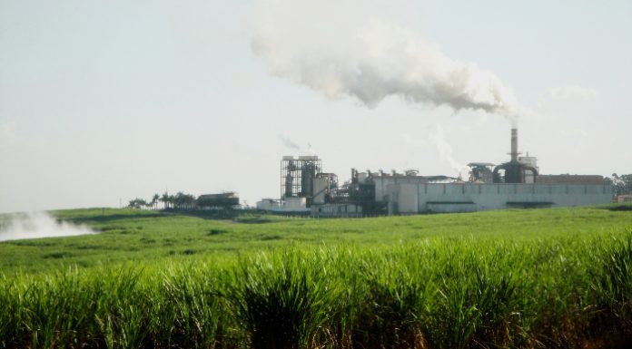 Senado aprova MP que autoriza a venda direta de etanol aos postos