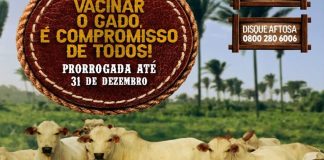 Campanha de vacinação contra febre aftosa é prorrogado até 31 de dezembro