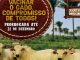 Campanha de vacinação contra febre aftosa é prorrogado até 31 de dezembro