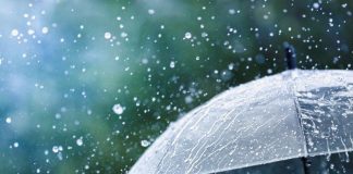 Possibilidade de invernada na colheita preocupa produtores