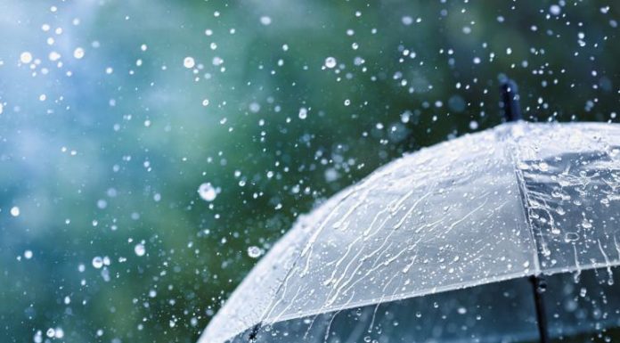 Possibilidade de invernada na colheita preocupa produtores