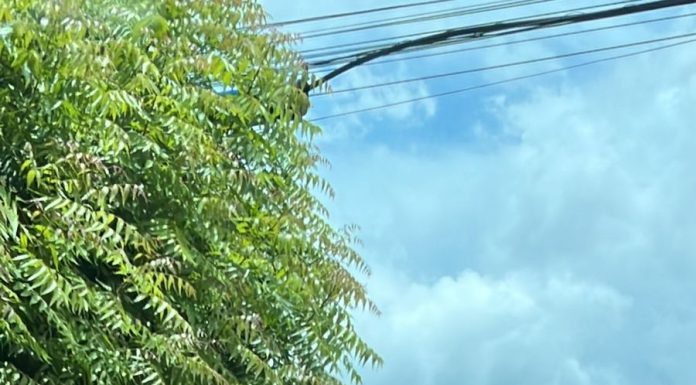 Avião cai em residência, em Balsas