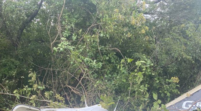 Avião de pequeno porte cai próximo do Rio Balsas, nesta quarta, 23
