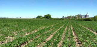 Comunicação do Agro precisa ser diversificada e complementar, recomenda presidente da ABMRA em palestra na ESPM