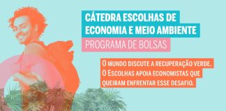 Inscrições abertas para o Programa de Bolsas da Cátedra Escolhas com foco na Amazônia Legal