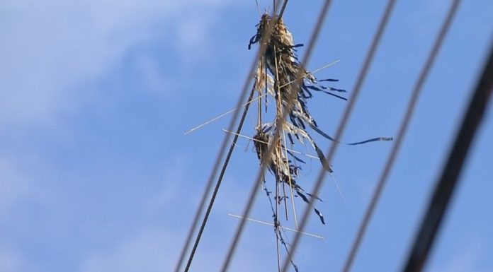 Maranhão já registra mais de 800 ocorrências envolvendo pipas na rede elétrica em 2022 , 14 em Balsas