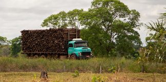 Tribunal do Cerrado aproxima-se da audiência final e do veredito do júri