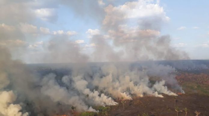 Focos de incêndio crescem no Maranhão
