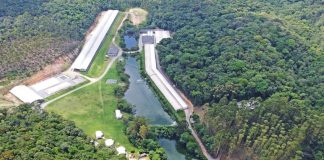 Granjas comprovam qualidade, benefícios e desempenho da Linha TNSui