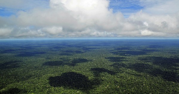 amazonia1-600x315