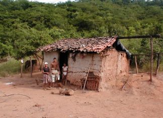 56% dos nordestinos estão otimistas quanto ao futuro do país, revela pesquisa