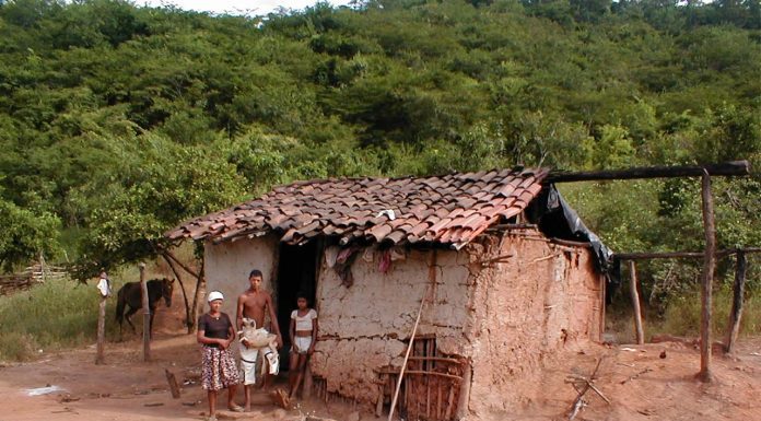 56% dos nordestinos estão otimistas quanto ao futuro do país, revela pesquisa