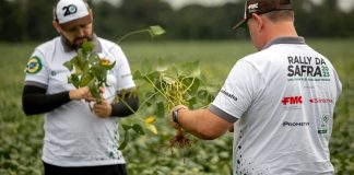 Rally da Safra vai a campo e prevê aumento de 19% na produção de soja; safra 2022/23