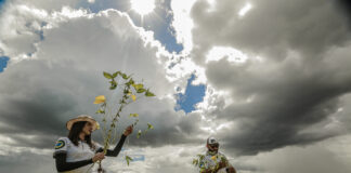 Com perspectiva de bons resultados, MATOPIBA recebe Rally da Safra