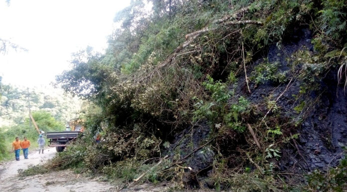 Brasileiro encontra um ponto crítico nas estradas a cada 44km